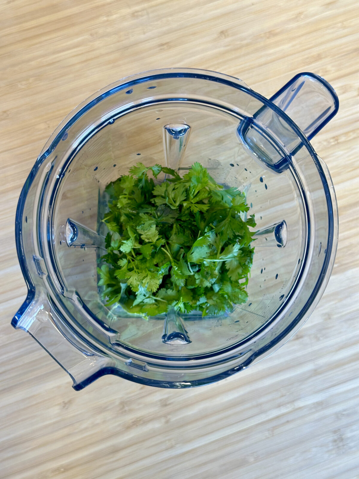 avo cilantro sauce blender top view