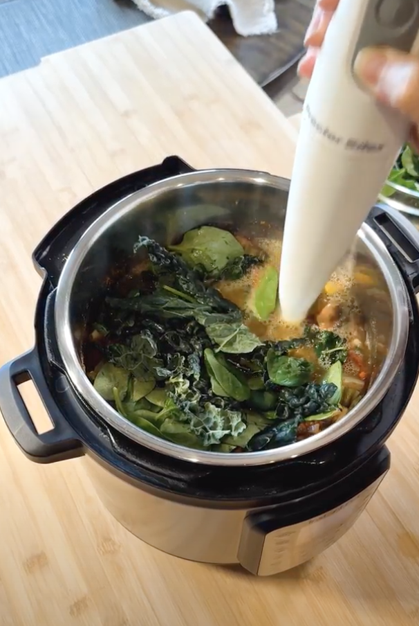 instant pot blender